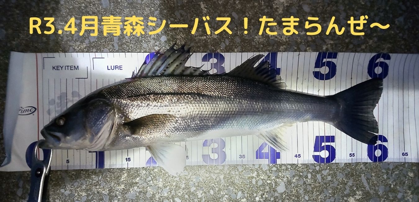 表層の魔術師 ガルバ73sのインプレ 初心者にこそふさわしい 表層の魔術師 ガルバ73sのインプレ 初心者にこそふさわしい