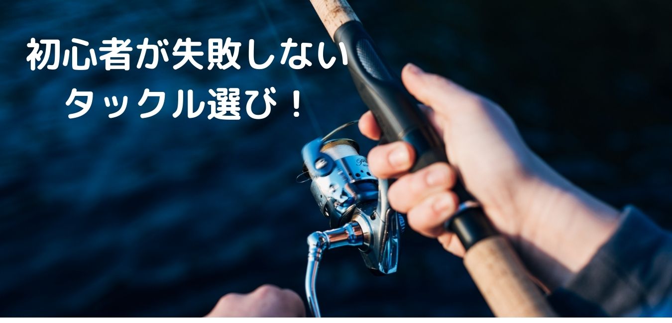 シーバスロードマップ シーバスの始め方 釣るまでの道のり シーバスロードマップ シーバスの始め方 釣るまでの道のり