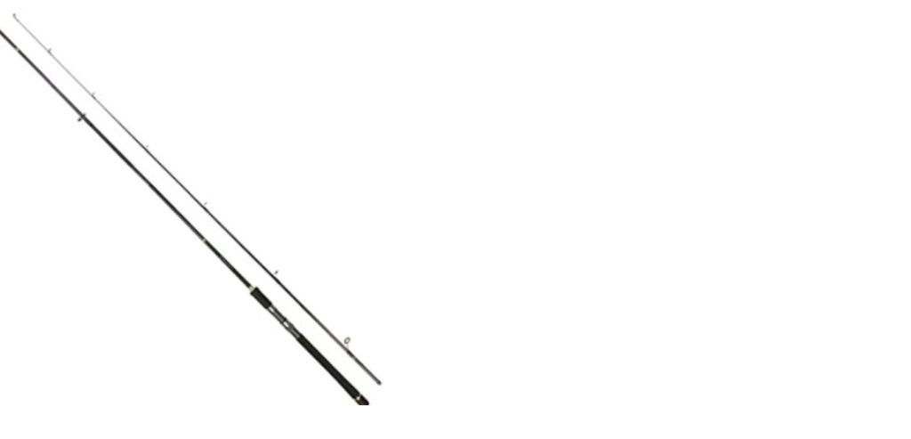セール ロッド リールセット 初めてのシーバス釣り 入門セット ダイワ 16リーガル3000h リバティークラブ ライン付き Riosmauricio Com