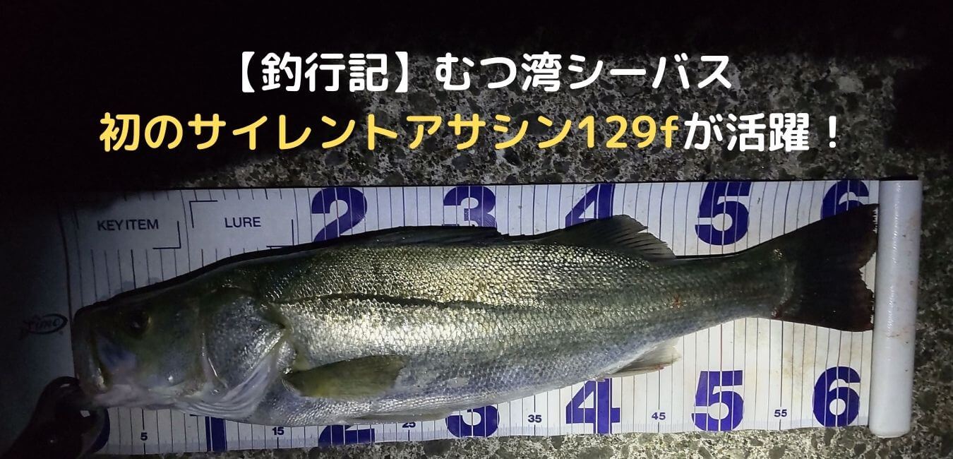 釣行記 R3 5 25 26日の青森むつ湾シーバスの釣果報告 釣行記 R3 5 25 26日の青森むつ湾シーバスの釣果報告
